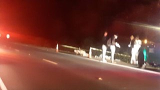 Homem morre atropelado em acostamento da BR-373 Homem morre atropelado em acostamento da BR-373