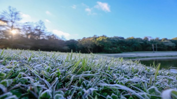 Semana começa com frio e geada no Paraná mas calor já tem data de volta
