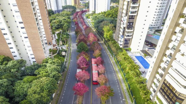 Outono chega de vez ao Paraná e municípios têm a manhã mais gelada do ano; mas vem mais frio